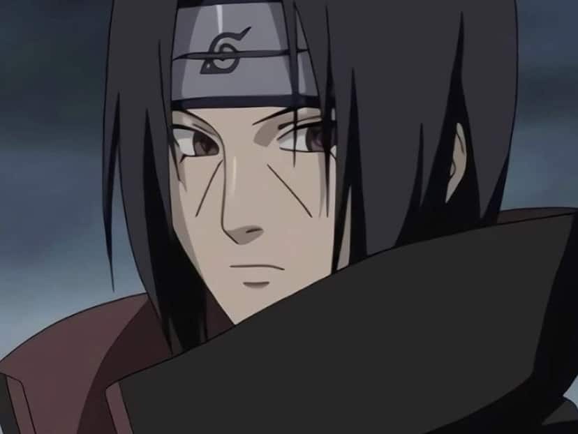 Significance And Meaning Of Itachi In Japanese Culture - Japan Truly