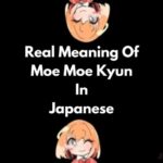 意思是日语中的moe moe kyun。
