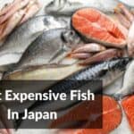 El pescado más caro de Japón