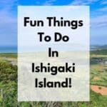qué hacer en la isla de Ishigaki