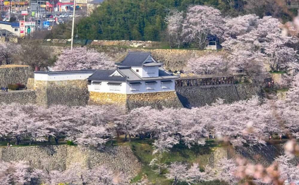 Castillo de Tsuyama