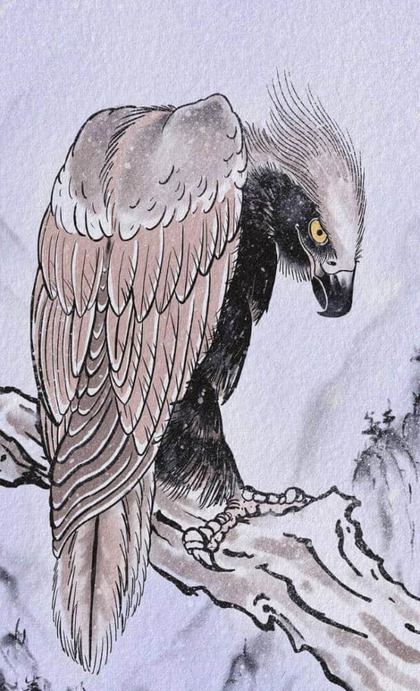el águila en la mitología japonesa