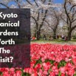 ¿merece la pena el jardín botánico de koyoto?