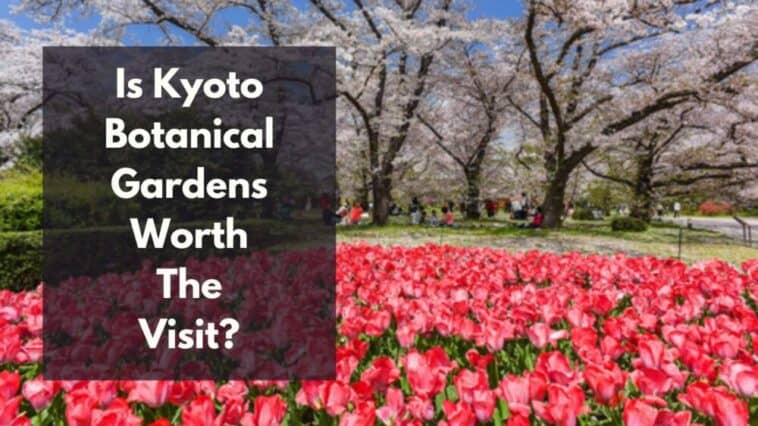 is koyoto botanical garden worth it