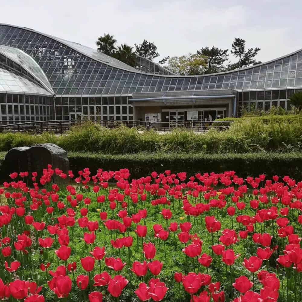 kyoto botanical garden