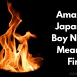 日本男孩名字的意思是火