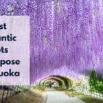 Lugares románticos en Fukuoka para pedir matrimonio