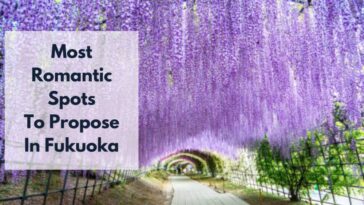 Romantic Places In Fukuoka To Propose