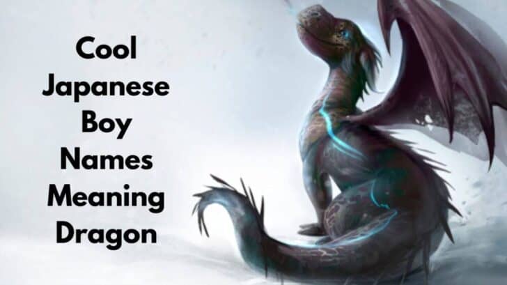 Japanese Boy Names Meaning Water Dragon