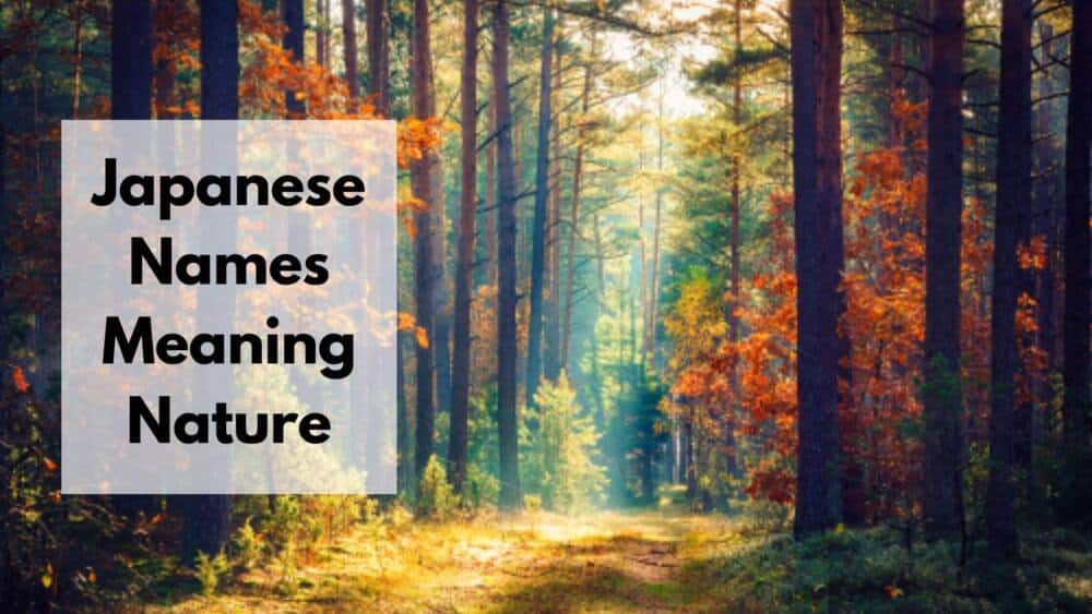 Japan Truly Page 6 of 38 All about Japan