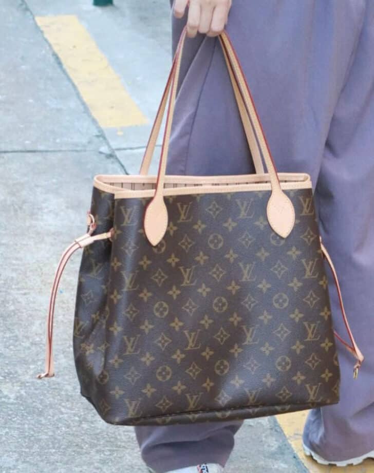 Is Louis Vuitton Cheaper In Japan Vs US, UK, France, Singapore, and
