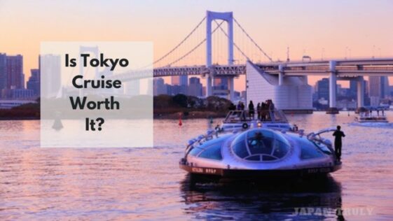 is tokyo cruise worth it
