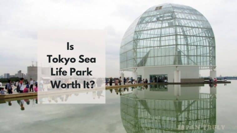 东京海洋生物公园值得一去吗