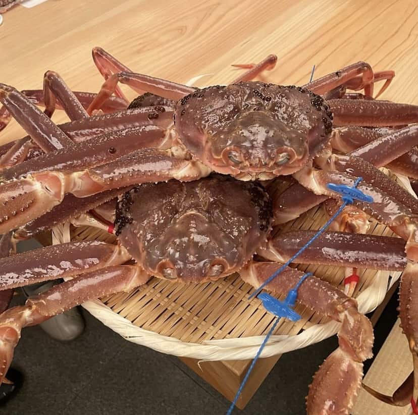 $66k 日本海蟹：每一口都值得还是高价美食？