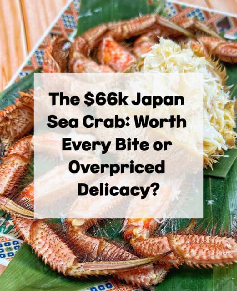 $66k Cangrejo de mar de Japón, 1.2kg Cangrejo de mar de Japón, 10 Millones de Yenes Cangrejo de mar de Japón