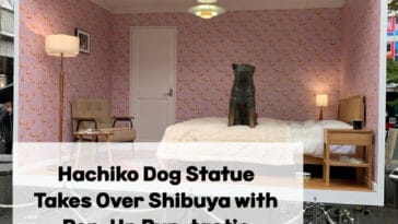Hachiko dog statue in Japan, Japan's famous dog statues, Hachiko dog statue display in Shibuya, Hachiko dog statue bedroom display