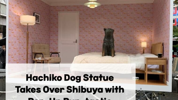 Hachiko dog statue in Japan, Japan's famous dog statues, Hachiko dog statue display in Shibuya, Hachiko dog statue bedroom display