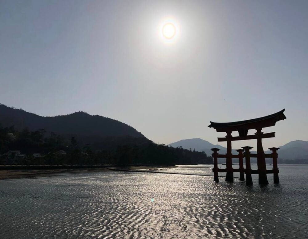 Miyajima Floating Gate