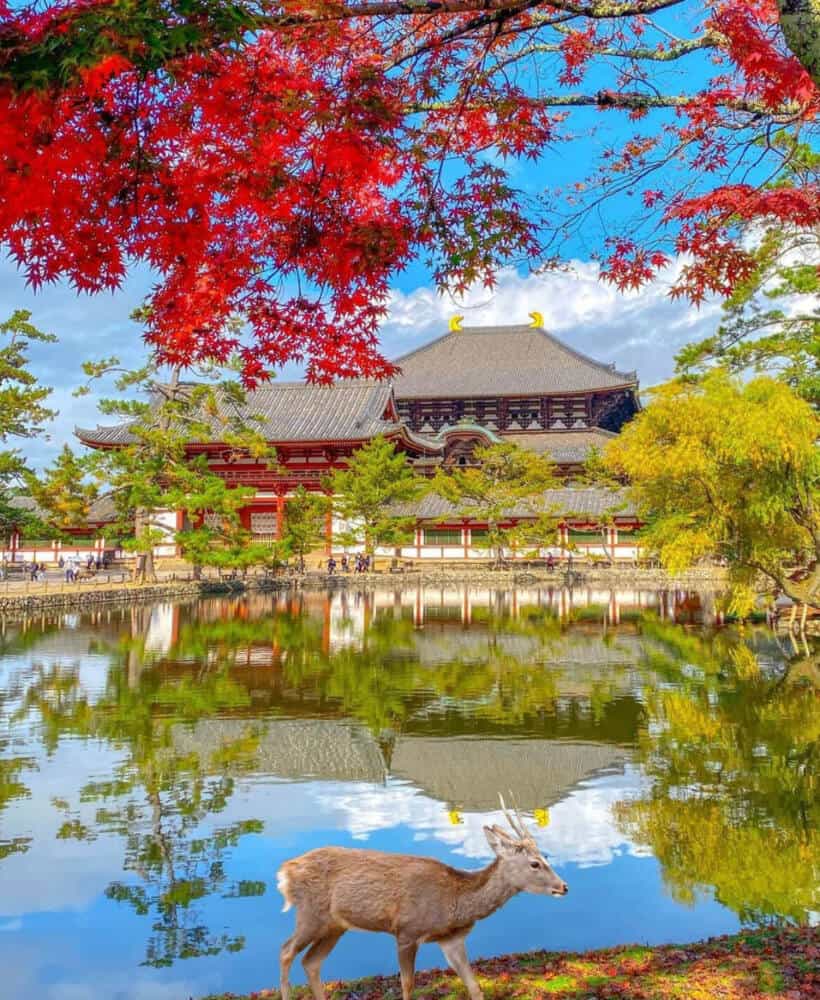 Historical Sites To Visit In Japan