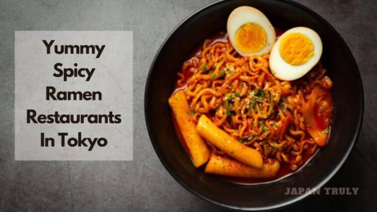 best spicy ramen restaurants in tokyo