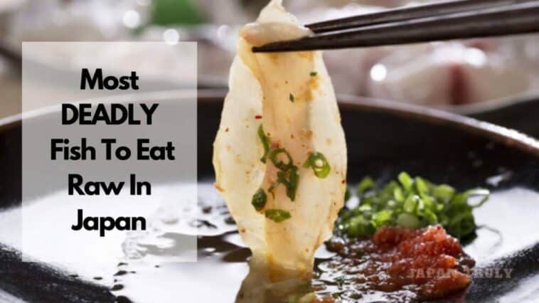 most deadly fish to eat raw in japan