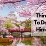 things to do in himeji