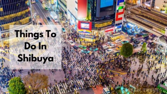 things to do in shibuya