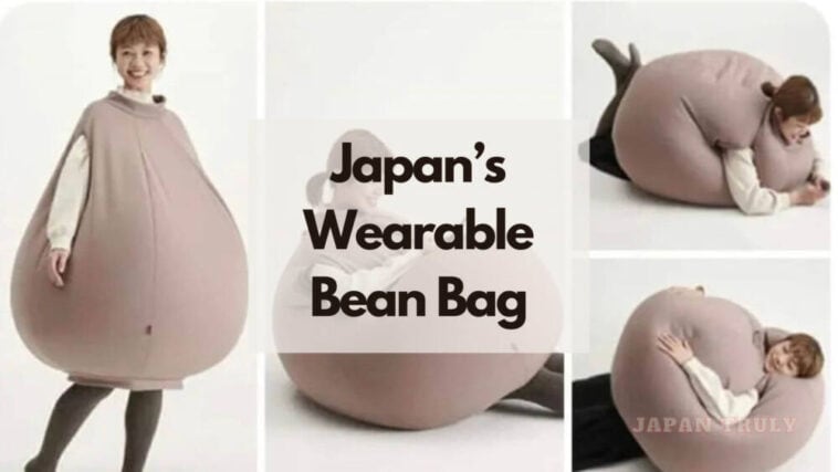 Hanalolo Wearable Bean Bag