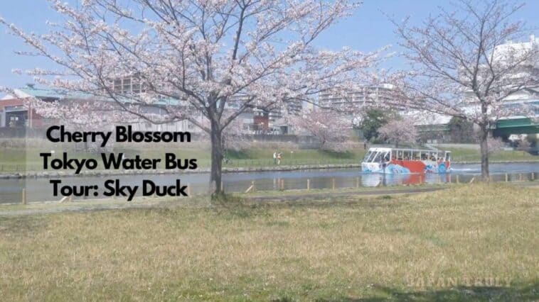 Cherry Blossom Tokyo Water Bus Tour