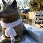 homenaje japonés a Doge Meme Dog