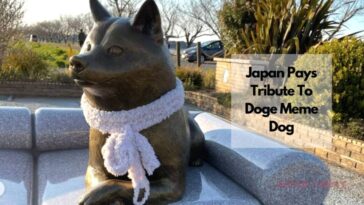 日本向 "Doge Meme Dog "致敬