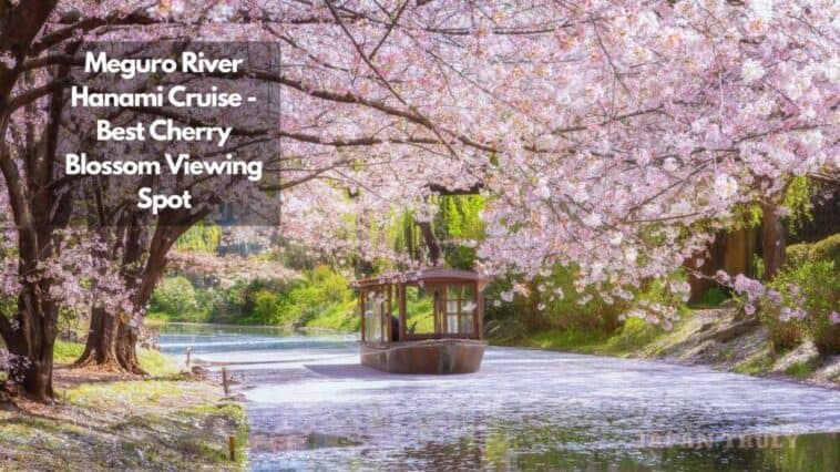 Meguro River Hanami Cruise