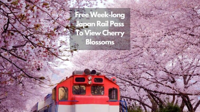 New Japan Rail Pass