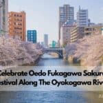 Festivales del Sakura de Oedo Fukagawa