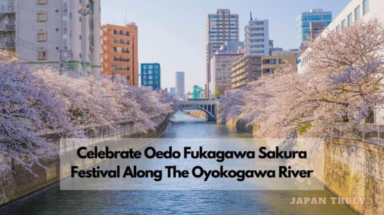 大江戸深川さくら祭り