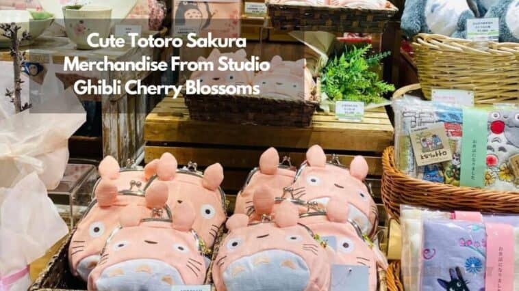 Totoro Sakura Goods