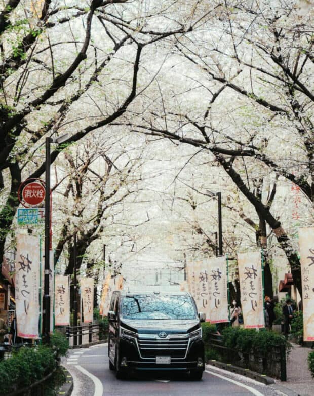 Can You Hire Car And Driver In Japan? Japan Truly