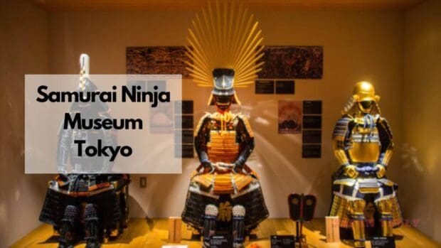 Samurai Ninja Museum Tokyo: Immersive Experiences In The Heart of Japan ...