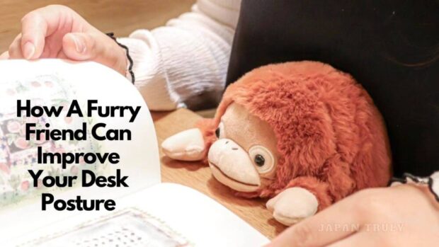 毛茸茸的朋友如何改善你的办公姿势