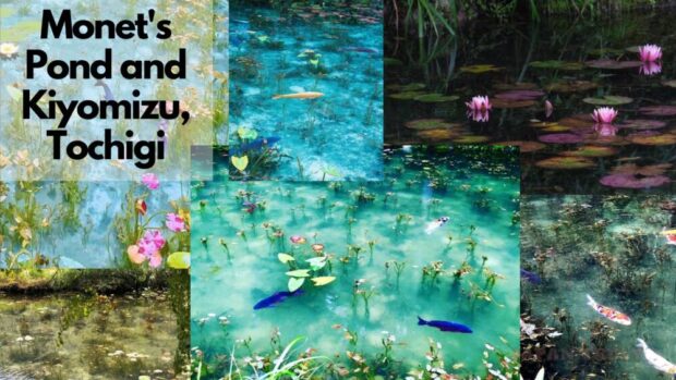 Monet's Pond and Kiyomizu in Tochigi.