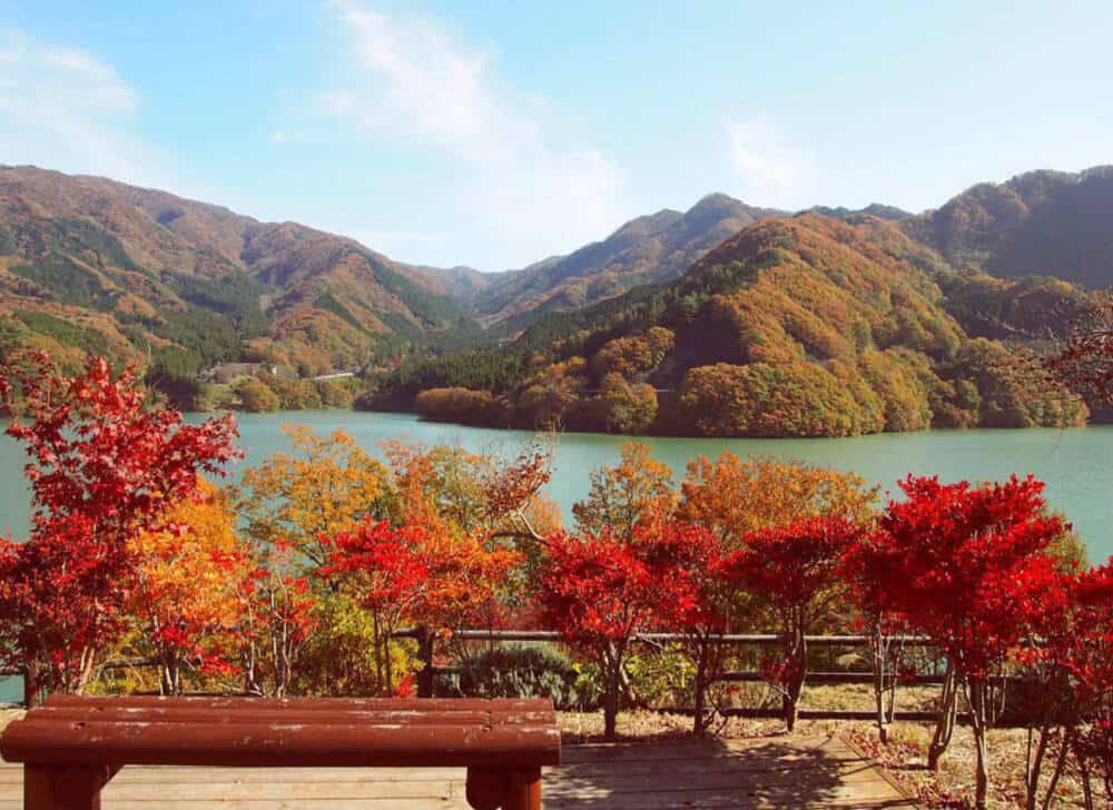 Paradas de descanso en Japón