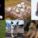 Clouds Final Fantasy Buster Sword Cat Scratching Pad