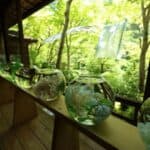 Artful Way to Show Off Green Maple Leaves at a Studio in Kyoto