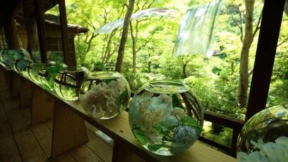 Artful Way to Show Off Green Maple Leaves at a Studio in Kyoto